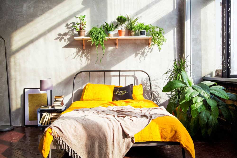 Trendy en mooi: planten in de slaapkamer