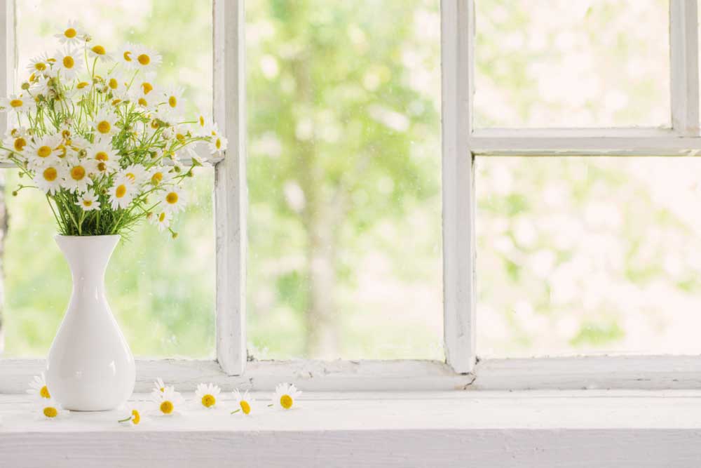 Gezellig: zet bloemen in de vensterbank
