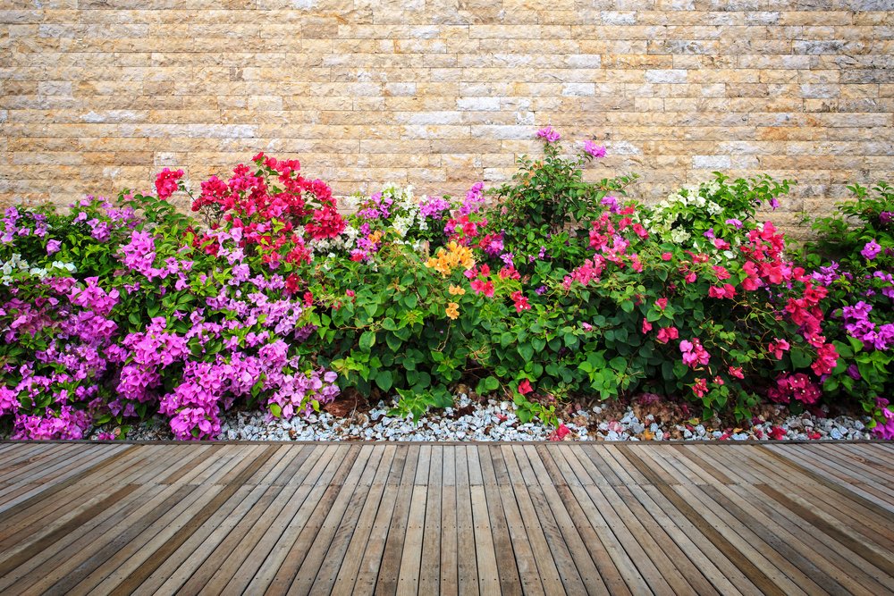 Een kleurrijke tuin met vrolijke bloemen