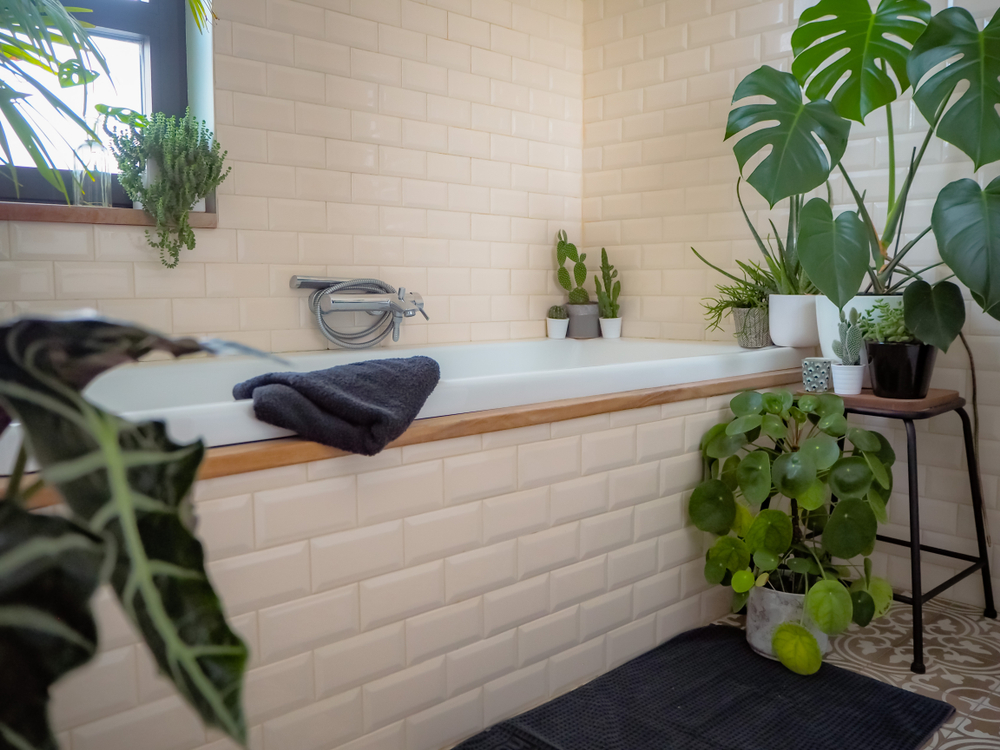 Een tropische badkamer met planten voor in de badkamer