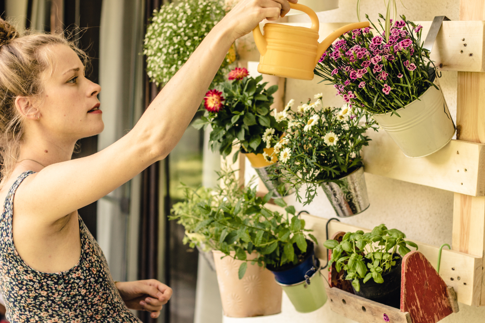 4 tips voor het verzorgen van planten op je balkon